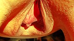 mature blonde cougar flashes her huge meaty shaved pussy gape for all