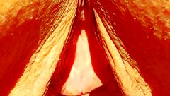 mature blonde cougar flashes her huge meaty shaved pussy gape for all