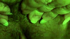 Asian wife cheats hard before heading home?