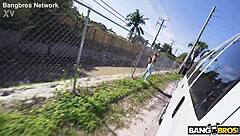 Shaved Brunette Pussy Blown on Vacation Wheels