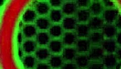 carmen valentina and curvy milf lick pussies in heels chatting dirty all night