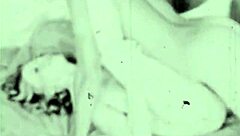 check out hairy beaver blowjobs from vintage porn stash