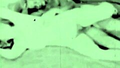 check out hairy beaver blowjobs from vintage porn stash