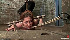 Hogtied Ginger's Pussy Toyed Roughly!