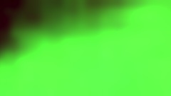 i get so horny just thinking about it lol damn