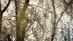 Janice Griffith's Ass Quivers in Loving Anal Cowgirl Riding