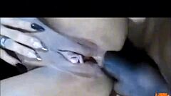 Latina milf prostitute orgasms hard from forceful interracial anal assfucking