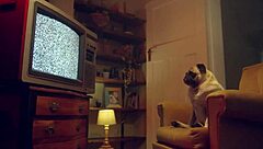 Babe Katrina Moreno's big tits cum covered after hard fuck 😍💦🍈