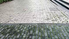 Ever met a Colombian neighbor whore who worships ass and balls like Estefani?