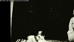 i fall for dark lantern's beauty and beast