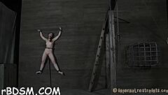 prod shocks bound chicks' milk cans before pounding shaved twats hard