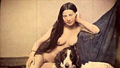 i fall for dark lantern's beauty and beast