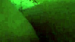 wanna dive into this tight wet hairy big booty bbw ass?