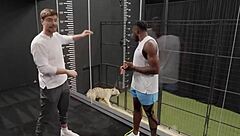 Worlds fastest car races against cheetah in epic speed showdown