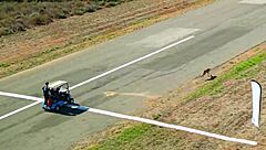 Worlds fastest car races against cheetah in epic speed showdown