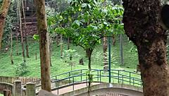 Insane central african anal creampie in raw amateur hardcore!