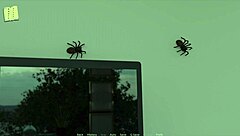 where did our filthy game really kick off back in episode 17??