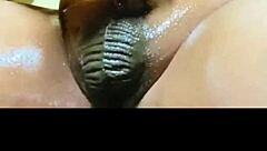 Mr DaddyDicc Unleashes Monster Cock for Intense Pounding Action