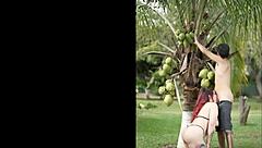 outdoor with this huge titted colombian milf slurping balls humiliating her big ass down...