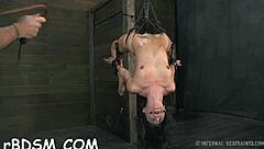 Bound couple endures rough bdsm pussy fucking, you in?