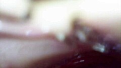 Real Pussy Orgasms Captured Inside With Cum Under Microscope