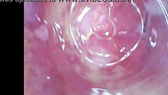 Real Pussy Orgasms Captured Inside With Cum Under Microscope
