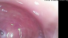 Real Pussy Orgasms Captured Inside With Cum Under Microscope