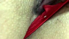 Peek This Smooth Shaved Brazilian Pussy?