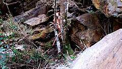 ever wonder what happens when a latina hooks up with a total stranger for raw sex?