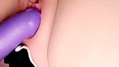 Ever wonder how many ways these pussies get teased in solo play comp?