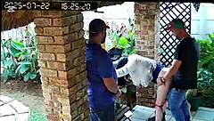 can you believe my cuckold friend begged me to fuck his slut wife doggystyle while he jerked off?!