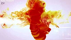 serenya gomez streams pussy close-up with wet sex toy