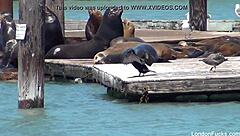 london keyes strips and rips clothes in bts tease