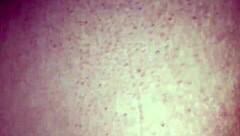 i love my hot bbw latina gf's phat ass bent over wet pussy dildo fucked by bf