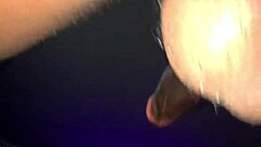 Thick Nerdy Glasses Girl Turns Jungle Bunny Sucking Fucking Black Cock Deepthroat Creampie Pt1
