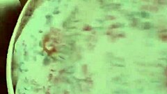 novinha puta bounces hard on cock like a total whore! 🍑🔥