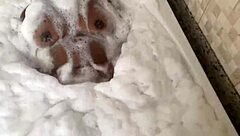 Hot Stepmom's Blowjob Sparks Overwhelming Desire