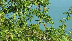 Denise Klarskov's tight ass begs for deep anal pounding