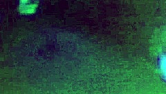 stepsis, feel this white man's bbc stretch your tight pussy gaping with monster cock creampie?