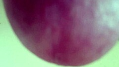 Seductive Close-Up Fetish of Pissing Straight into the Sink