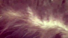 whoa sandra's candid amateur sex tape hidden cam first time fuck 😲📹