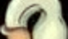 WOW BBW FUTANARI MILF With BIG TITS Fucks Campus Hard!