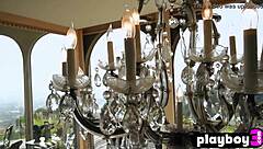 perfect small titted babe amanda booth strips naked posing her pussy and ass