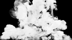 ate my sister-in-law's pussy and bonus wrecked her tight ass raw - full vid?