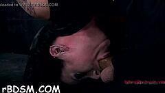 bound babe dominated and fucked hard by femdom couple