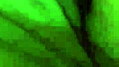 sexy teen coeds film their wild groupsex party at uni campus