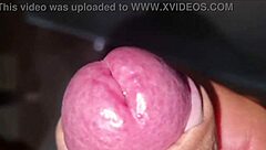 adorable skinny euro tattoo girl fingers ass hard while rubbing cock on bed closeup cumshot