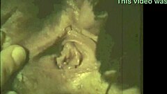 Vintage lesbian lovers lick hairy beavers in swinging sixties shadows