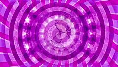 Wet panties got you hard for sissy training with this shemale teaser?