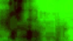 Kudrnatá izraelská holka v brýlích zoufale cucá pták na skrytou kameru